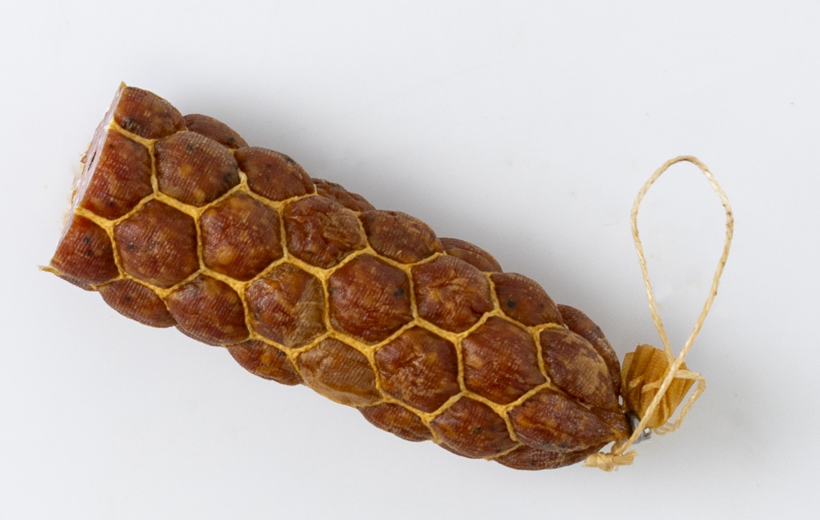 Sønderjysk spegepølse